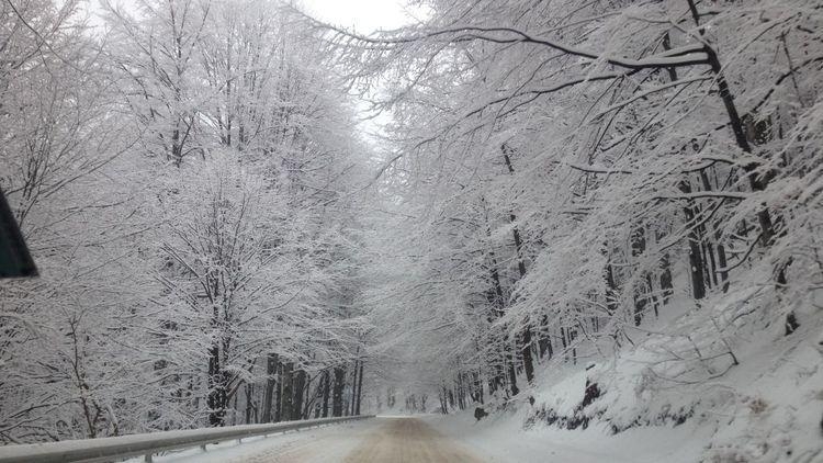 Снежната покривка на Петрохан надхвърля 60 см Тежкотоварен камион е бил