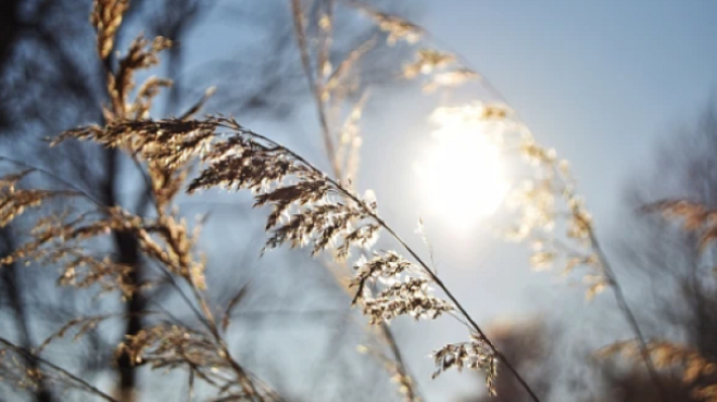 Днес над по голямата част от страната ще се задържи предимно слънчево но на места