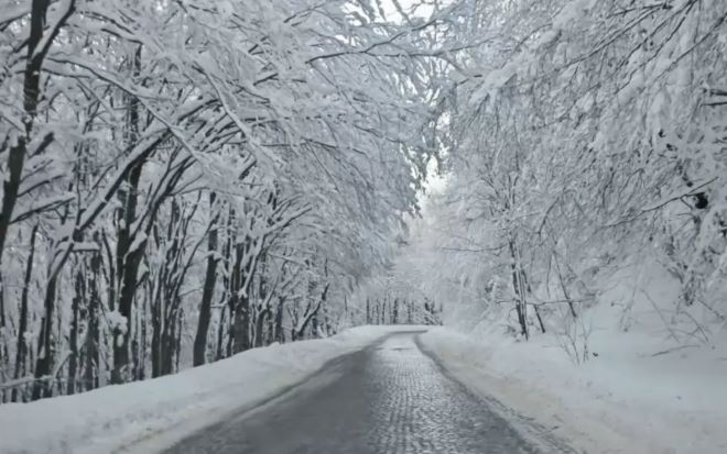 С оглед гарантиране на безопасността на гражданите Столичната община взе