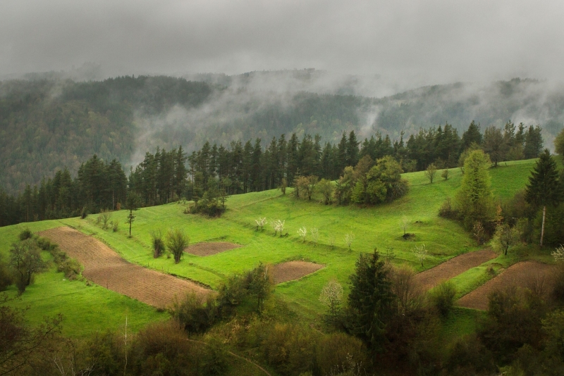 През нощта над страната ще бъде облачно и на места