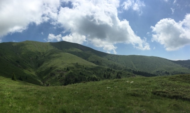 Издирват 20 годишен младеж в района на местността Узана в Централен