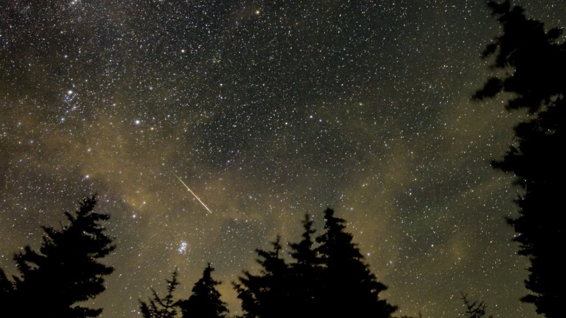Зрелище в небето! Наблюдаваме пика на метеорния поток Леониди