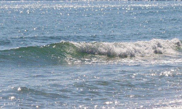 Издирва се 14 годишно момиче което вчера изчезнало в бурното море