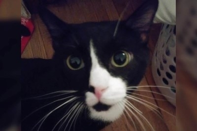 Жена от град Мейпълууд в щата Минесота сама се убеди