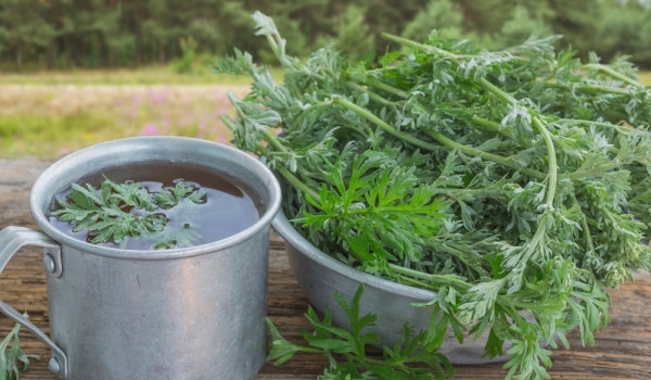 От РИОСВ във Враца напомнят че изтича срокът за отчитане