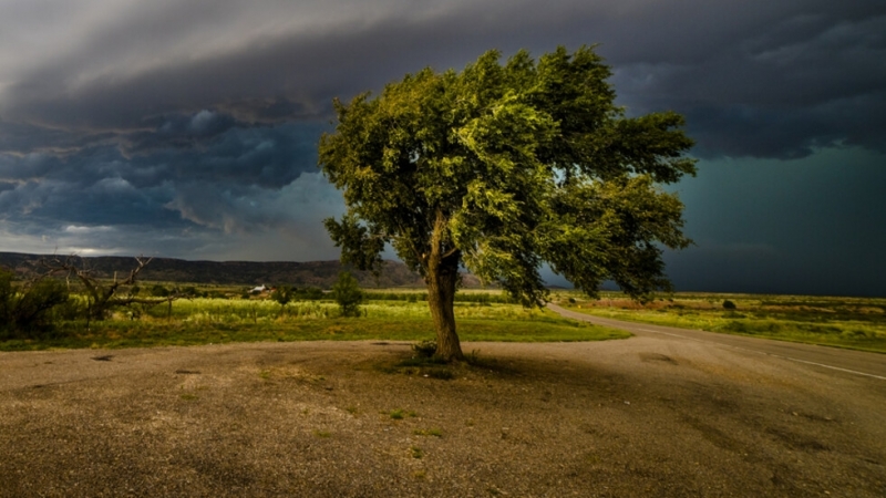 След като през последните 10 дни картата на страната редовно