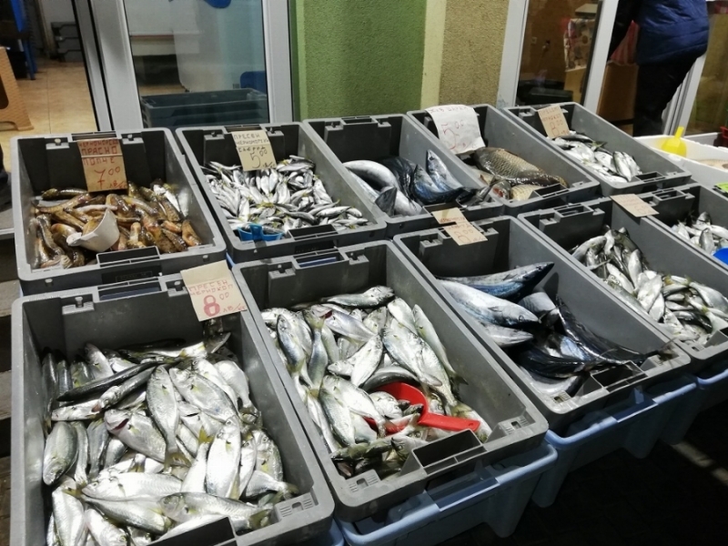 Във Враца ще има голям рибен пазар с участието на