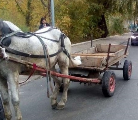 Районната прокуратура в Луковит е започнала разследване по случая с