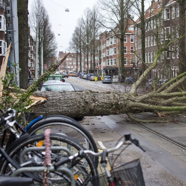 Парковете в Париж са затворени за посещения заради силни ветрове