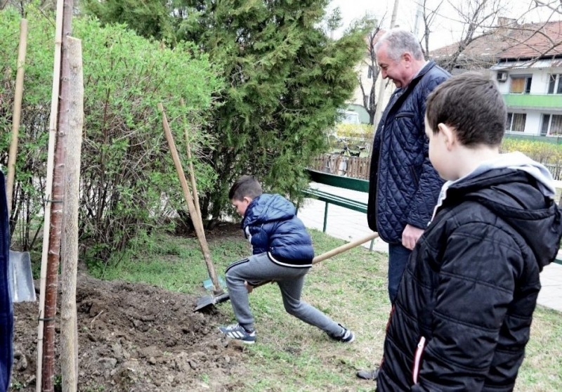 След провеждането на редица есенни кампании за засаждане на фиданки в