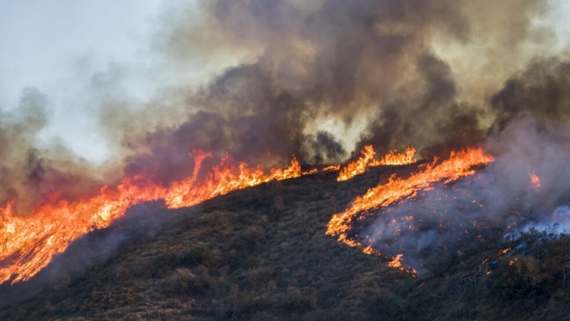 Труп на 74 годишен мъж е открит в обгорели площи в