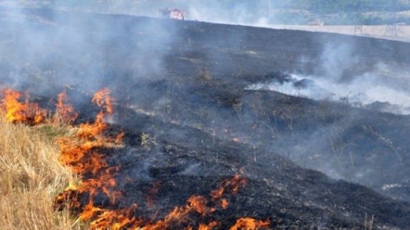 Мълния е причинила пожар в пшеничен блок край силистренското село