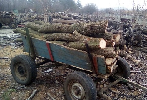 Полицията във Видин е спипала бракониер с незаконни дърва, съобщават