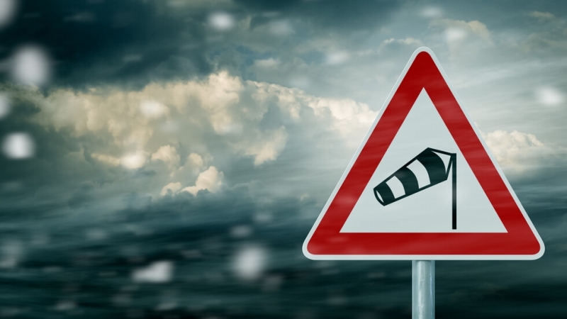 За 1 януари 2022 г Националният институт по метеорология и