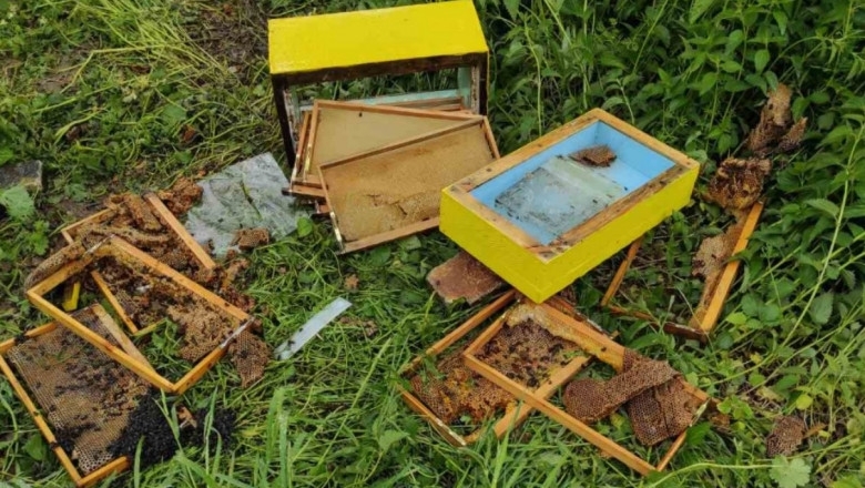 Деца са унищожили кошерите на фермер в белослатинското село Търнак