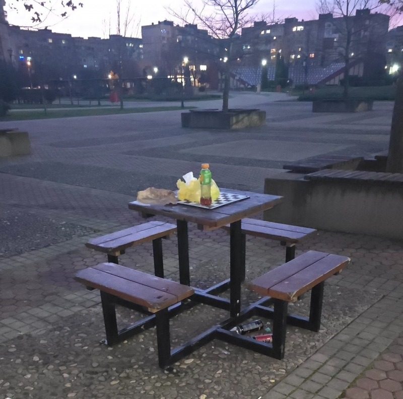 Грозни снимки на свинщина оставена от деца във Враца се