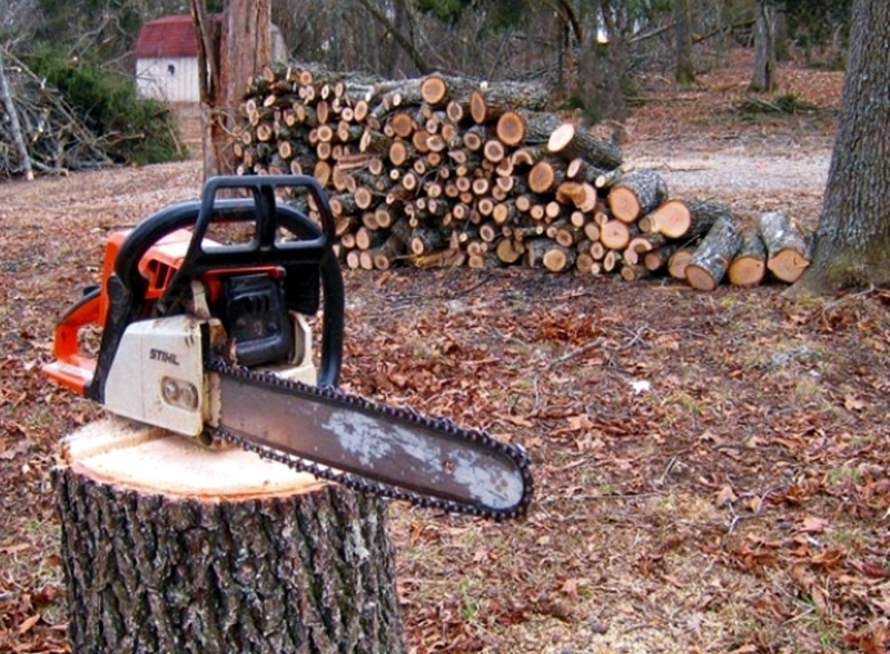 Заловен е мъжът откраднал моторен трион от къща в Монтанско