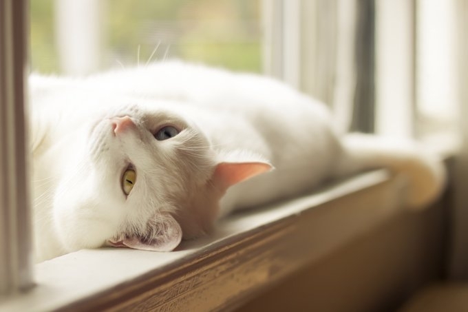 Лятото се завръща, слънце ще ни радва утре