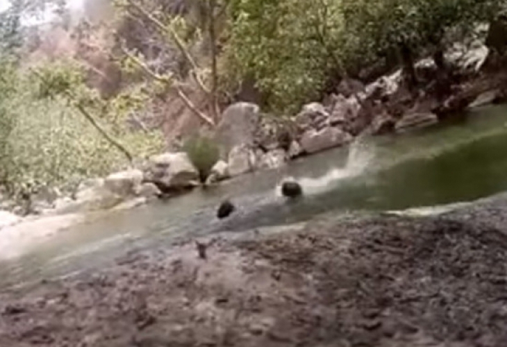 Голяма трагедия се е разиграла в щата Раджастхан в Западна