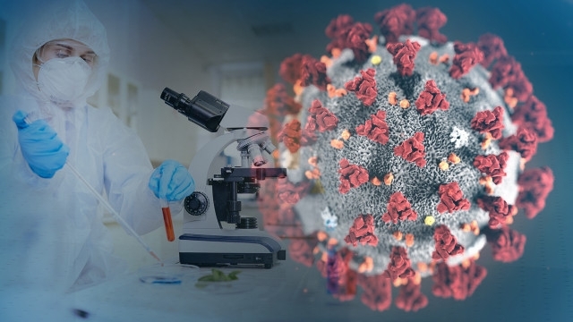 2427 са новодиагностицираните с коронавирусна инфекция лица през изминалите 24