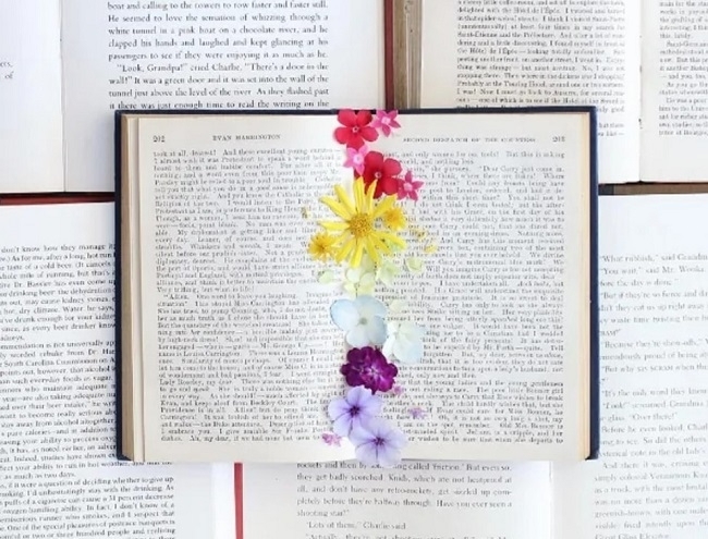 30 книги ще бъдат подарени на първите 30 посетители в