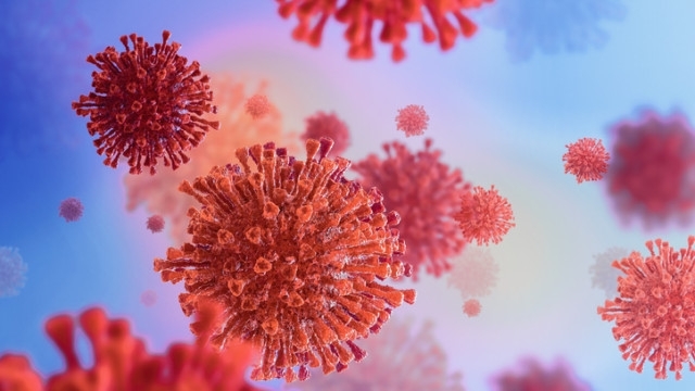 Вариантът Гама на коронавируса, открит за първи път в Бразилия,