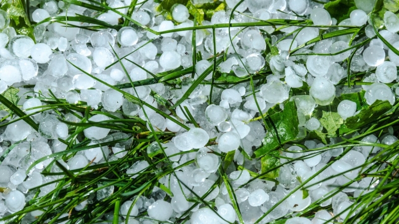 Земеделски производители от Врачанско ще бъдат компенсирани заради силните бури