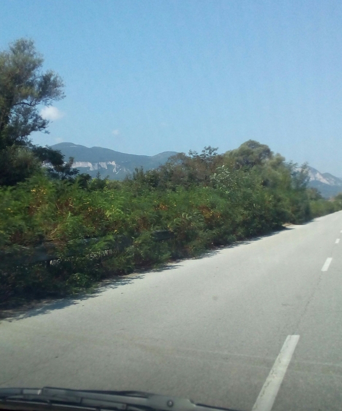 Бурна растителност е превърнала пътят между Враца и Мездра в