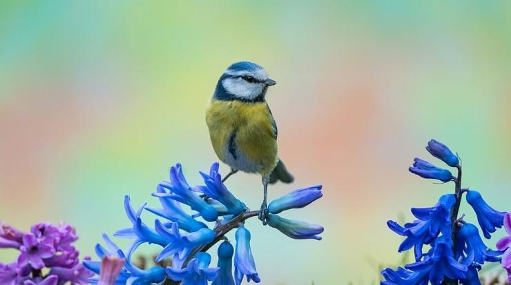 Днес ще бъде предимно слънчево с разкъсана висока облачност Вятърът