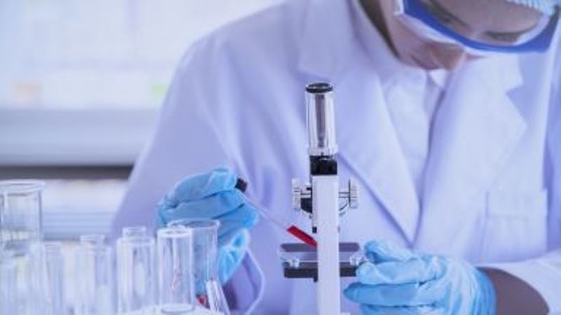 За последното денонощие има регистрирани 16 лица с потвърдена проба