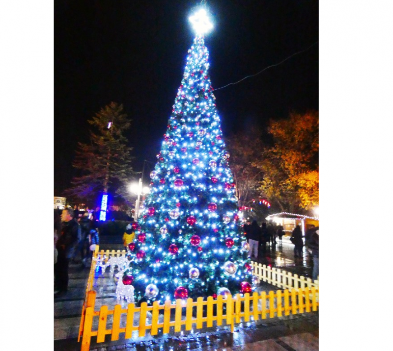 Светлините на коледната елха в Лом заблестяха с песни танци
