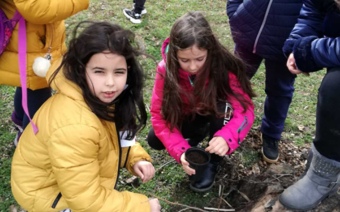 Да засадиш дърво това е една от добрините която