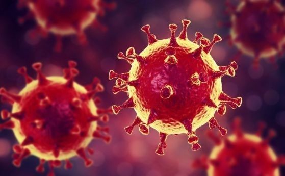 Три нови случая на коронавирус са регистрирани в Ямболска област