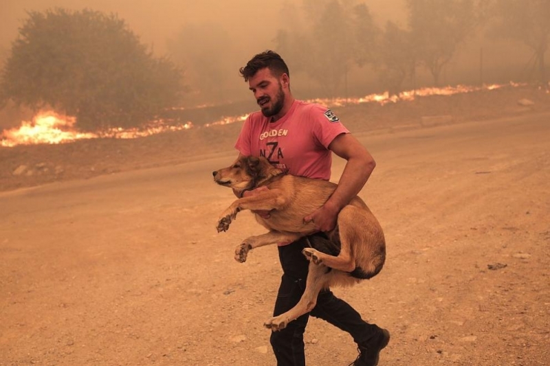 Пожарникарите в Гърция продължават да са изправени пред нестихващи огнени стихии в централните