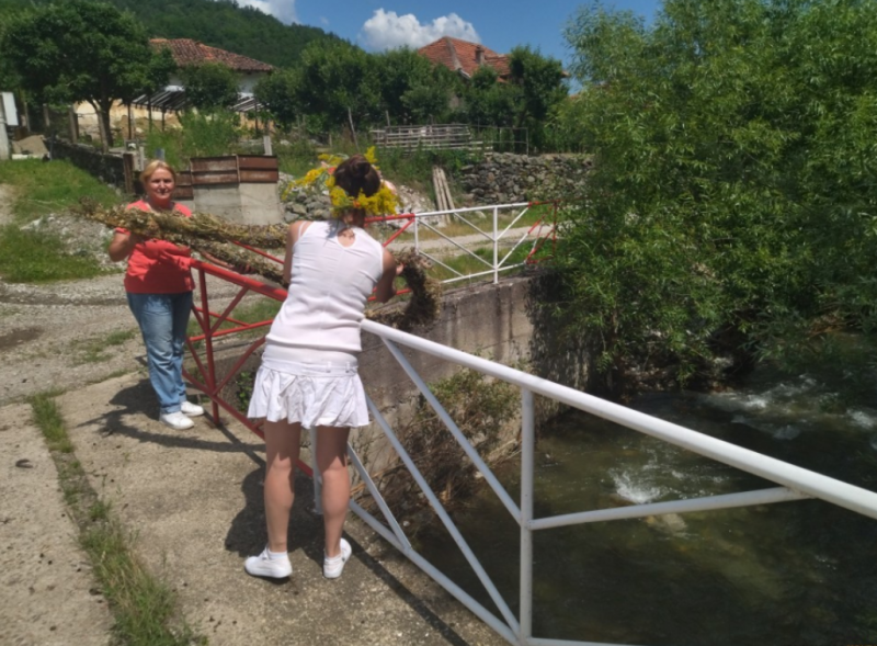 С еньовче кантарион равнец мащерка незабравки синчец и още дъхави