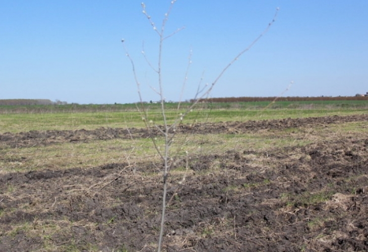 Жители на пернишкото село Дивотино алармират че фирма за добив