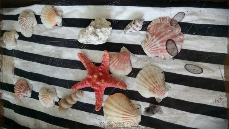 В лаборатория в Бургас се получават различни продукти които намират