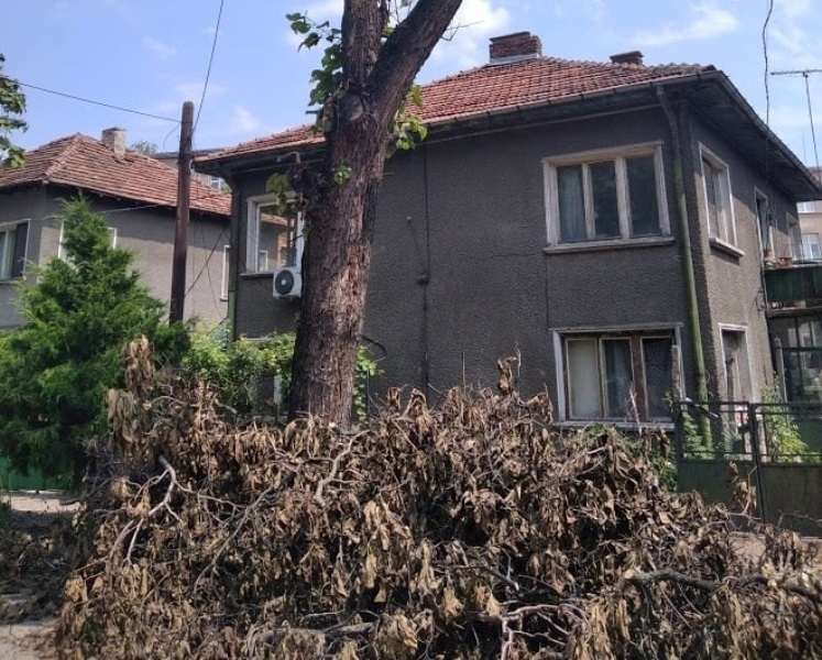 Видинчани пропищяха от поредната издънка на общината научи агенция BulNews