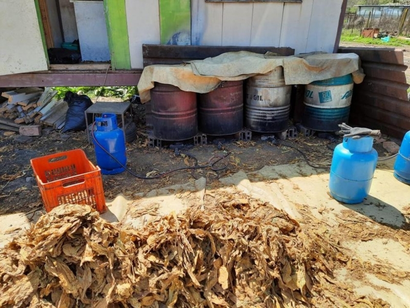 Над 300 кг тютюн е общо намереното количество иззето в