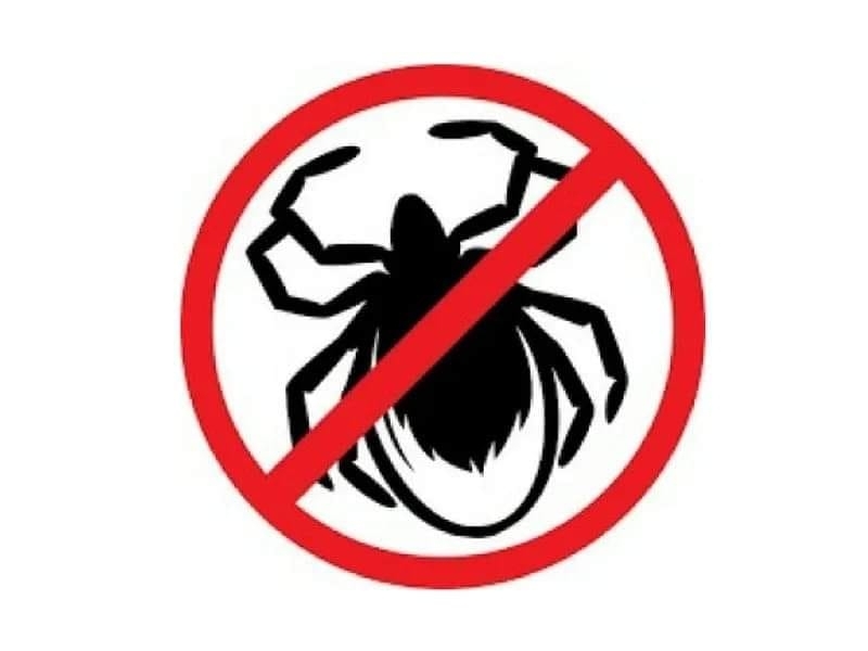 Община Мизия уведомява жителите че днес 1 април ще се