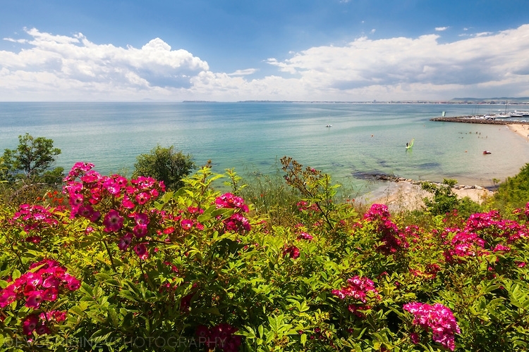 Днес над по голямата част от страната ще бъде слънчево