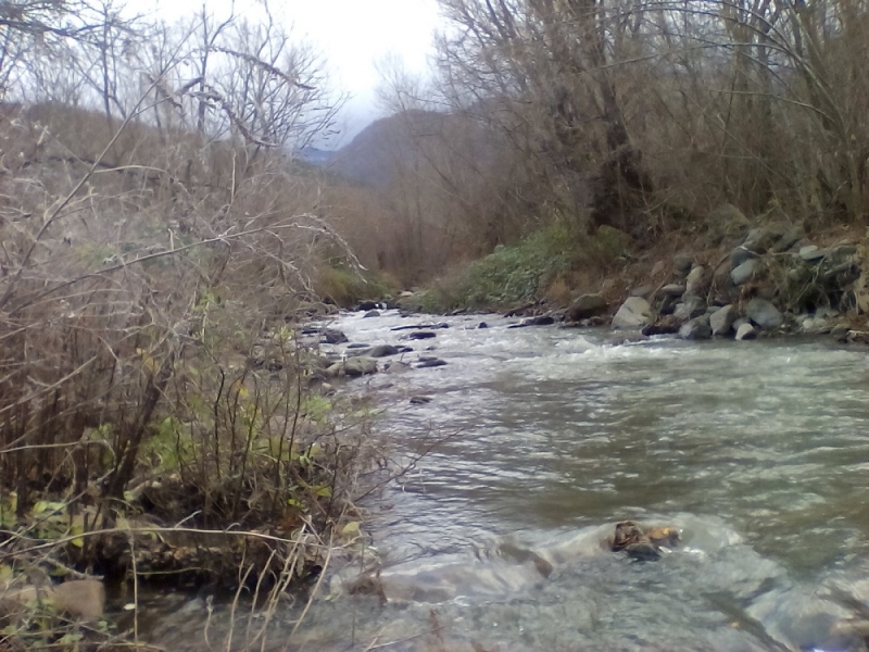 Столична фирма иска да отглежда пъстърва край Монтана От Фиш