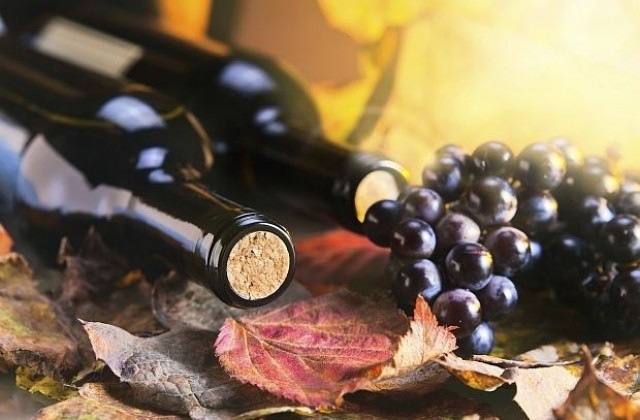 Териториалната дирекция на изпълнителната агенция по лозата и виното в
