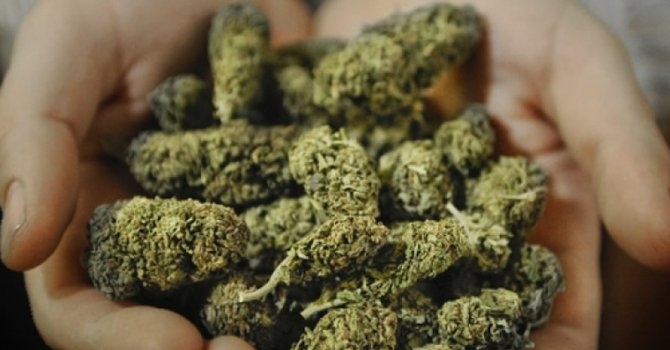 Районен съд Берковица одобри споразумение между Териториално отделение Берковица при