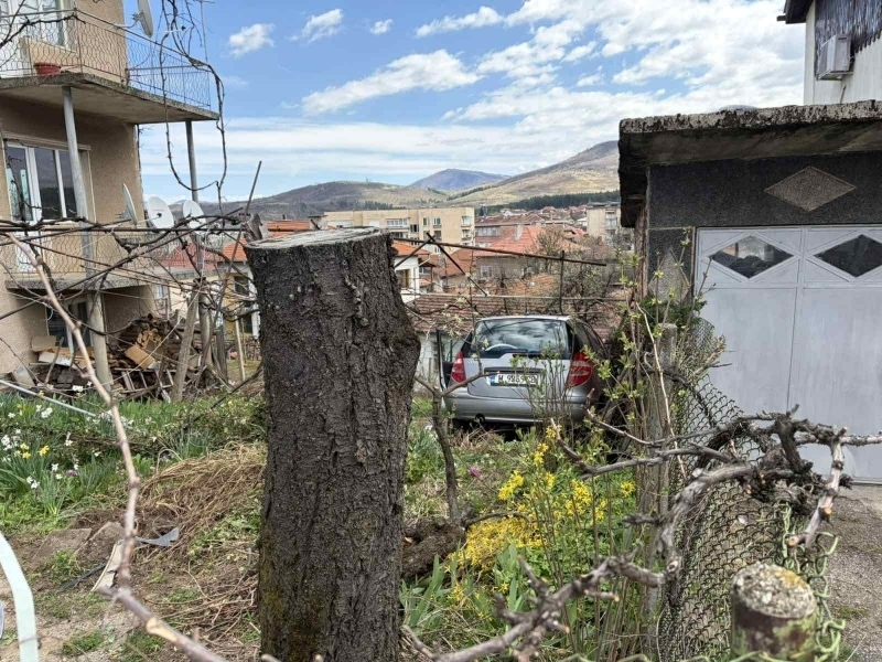 МВР-Монтана: Шофьорът от зрелищното ПТП във Вършец е в болница