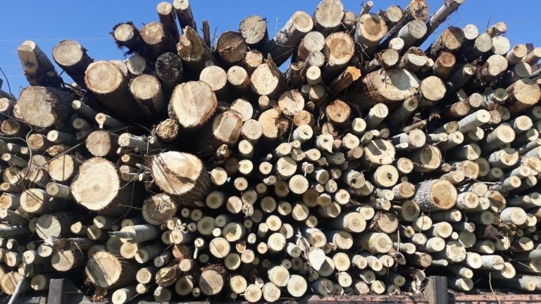 Над 52 пространствени кубика дърва за огрев са конфискувани през