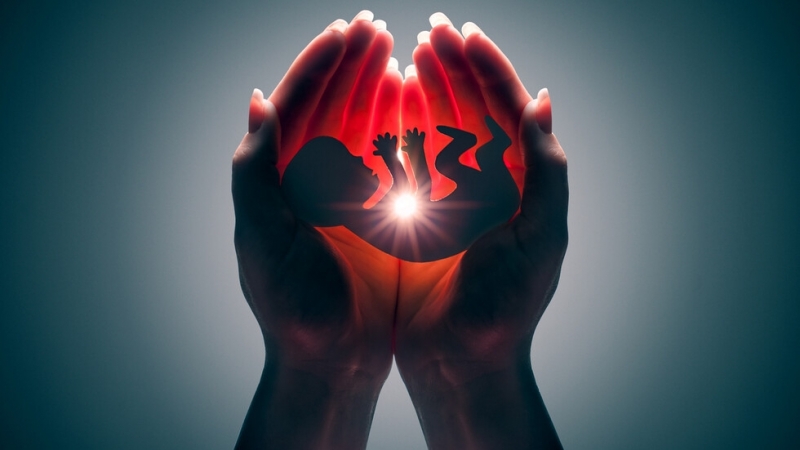 Българките са направили 5 338 аборта в страната само за