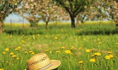 Преди обяд ще е слънчево а по късно през деня облачността