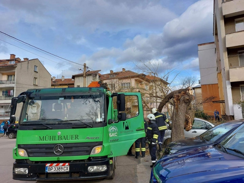 За изминалото денонощие поривите на вятъра в града достигнаха до