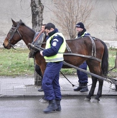 Дядка с каруца натоварена с незаконни дърва се е опитал